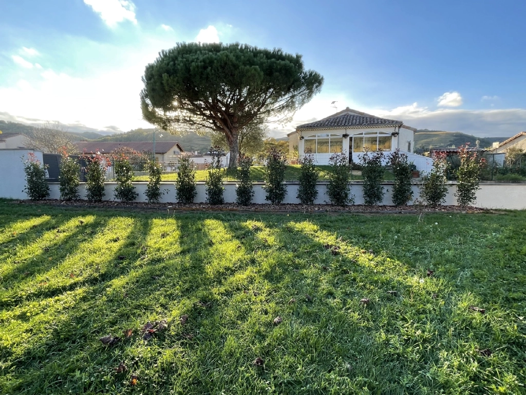 Haie de photinia, bordure acier corten et paillage copeaux de bois